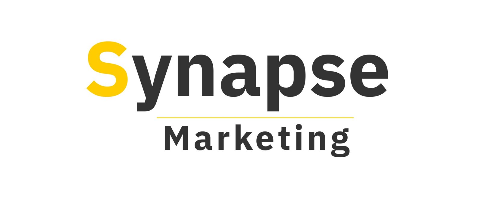 Synapse Marketing