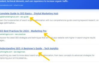 What Are Featured Snippets in Google SERPs